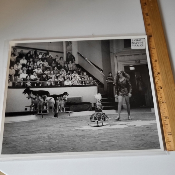 Vintage Black and White Photograph Clyde Beatty Circus 1973 Canine Circus Act - Picture 16 of 16